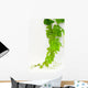 Vine Wall Decal