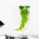 Vine Wall Decal
