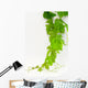 Vine Wall Decal
