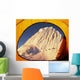 Base Camp Alpamayo Wall Decal