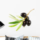 Olive Branch with Drop Wall Decal