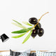 Olive Branch with Drop Wall Decal