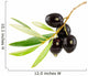 Olive Branch with Drop Wall Decal