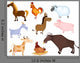 Farm Animal Set Wall Stickers Wall Decal