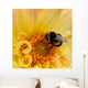 Bumblebee Bombus Wall Decal