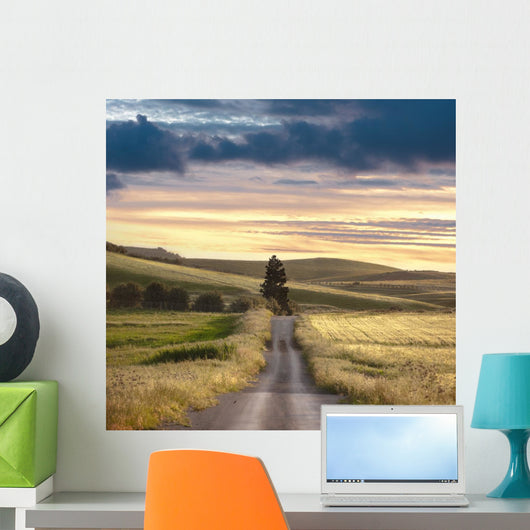 Rural Road Sunset Wall Decal