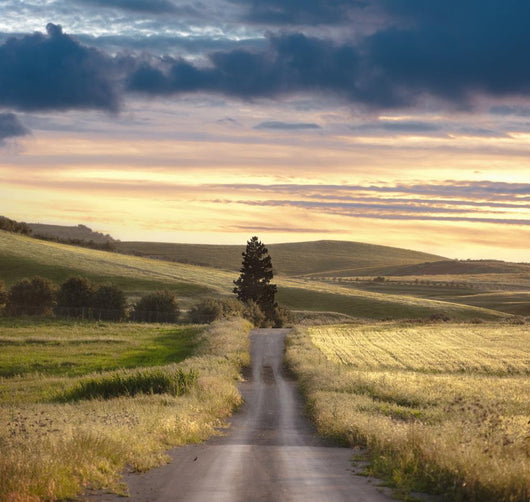 Rural Road Sunset Wall Decal