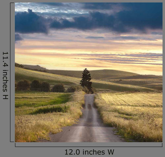 Rural Road Sunset Wall Decal