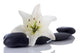 Madonna Lily and Spa Wall Decal