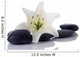 Madonna Lily and Spa Wall Decal