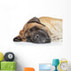 English Mastiff Sleep Wall Decal