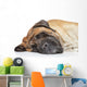 English Mastiff Sleep Wall Decal