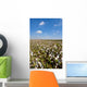 Cotton Bolls Wall Decal