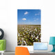 Cotton Bolls Wall Decal