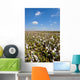 Cotton Bolls Wall Decal