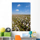 Cotton Bolls Wall Decal