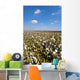 Cotton Bolls Wall Decal