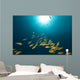 Blue-striped Snappers Red Sea Wall Decal