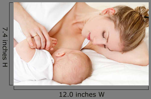 Breastfeeding 2 Wall Decal