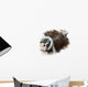 Shih Tzu Aux Longs Wall Decal