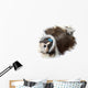 Shih Tzu Aux Longs Wall Decal