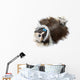Shih Tzu Aux Longs Wall Decal