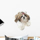 Very Pretty Shih Tzu Wall Decal