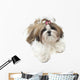 Very Pretty Shih Tzu Wall Decal