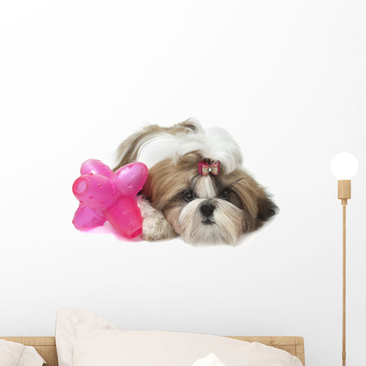 Shih Tzu Indifferent Front Wall Decal