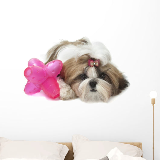 Shih Tzu Indifferent Front Wall Decal