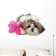 Shih Tzu Indifferent Front Wall Decal