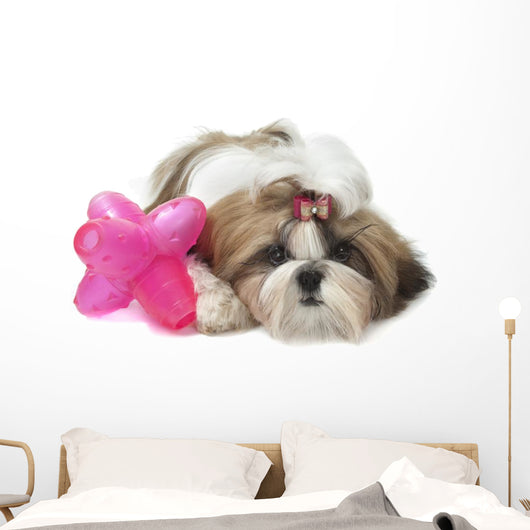 Shih Tzu Indifferent Front Wall Decal