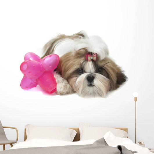 Shih Tzu Indifferent Front Wall Decal