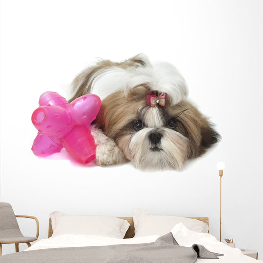 Shih Tzu Indifferent Front Wall Decal