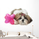 Shih Tzu Indifferent Front Wall Decal