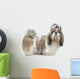 Beautiful Shih Tzu Is Wall Decal