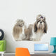 Beautiful Shih Tzu Is Wall Decal