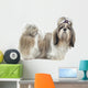 Beautiful Shih Tzu Is Wall Decal