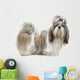 Beautiful Shih Tzu Is Wall Decal