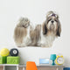 Beautiful Shih Tzu Is Wall Decal