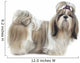 Beautiful Shih Tzu Is Wall Decal