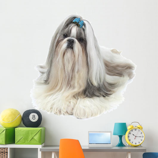 Big Star Is Born Wall Decal