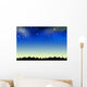 Night Sky Wall Decal