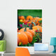 Line of Pumpkins in a Patch Wall Decal