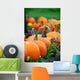 Line of Pumpkins in a Patch Wall Decal