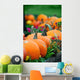 Line of Pumpkins in a Patch Wall Decal