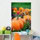 Line of Pumpkins in a Patch Wall Decal
