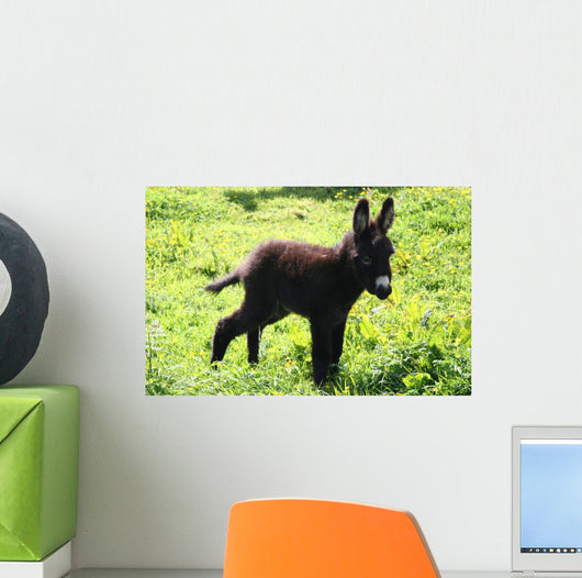Junger Esel Wall Decal