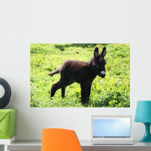 Junger Esel Wall Decal