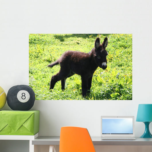 Junger Esel Wall Decal